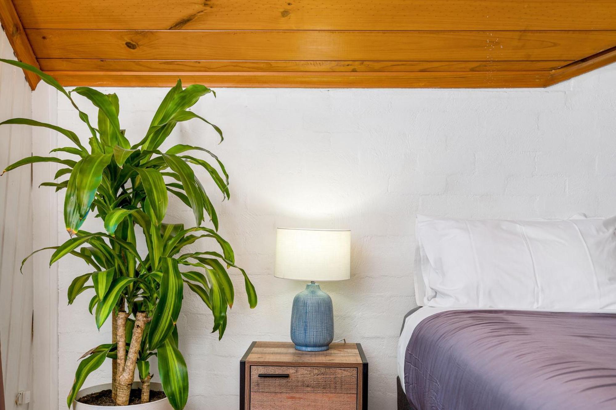 Aquarius Backpackers Resort Byron Bay Exterior photo